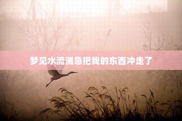 梦见水流湍急把我的东西冲走了