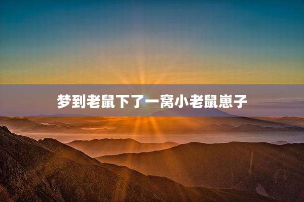梦到老鼠下了一窝小老鼠崽子