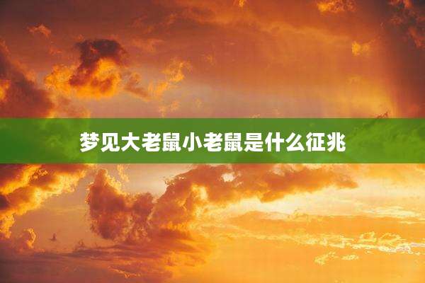 梦见大老鼠小老鼠是什么征兆
