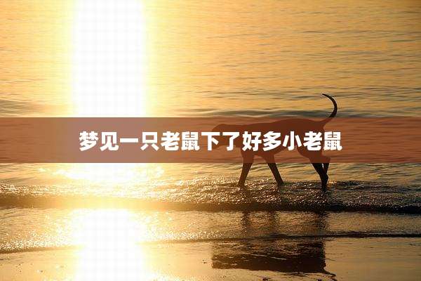 梦见一只老鼠下了好多小老鼠