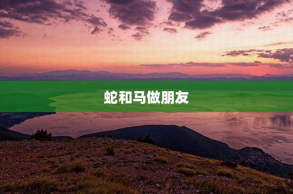 蛇和马做朋友