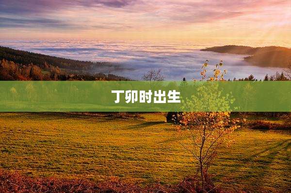 丁卯时出生