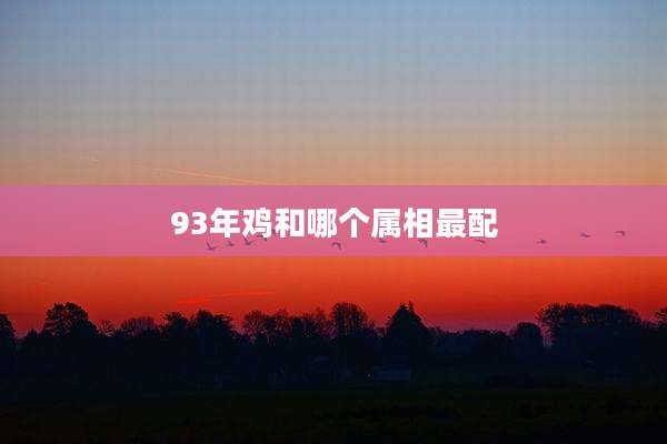 93年鸡和哪个属相最配