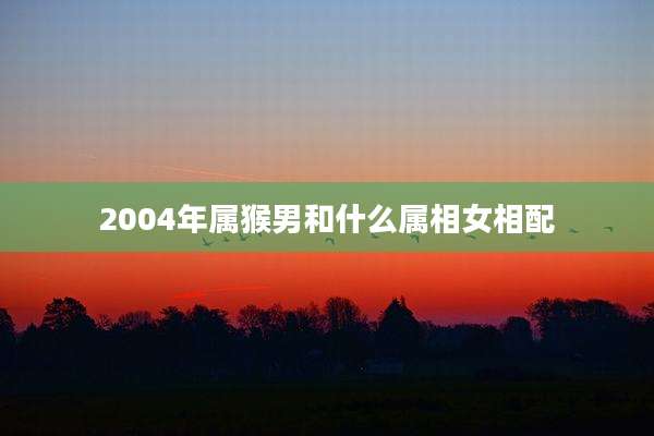 2004年属猴男和什么属相女相配