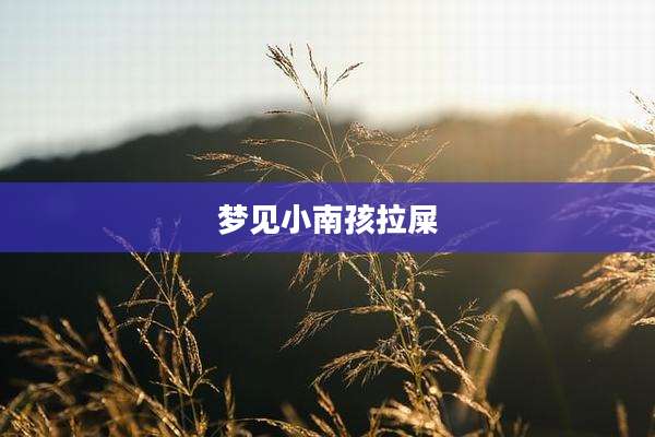 梦见小南孩拉屎