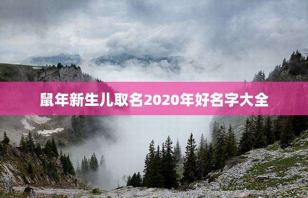 鼠年新生儿取名2020年好名字大全