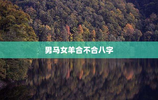 男马女羊合不合八字