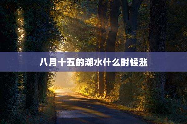 八月十五的潮水什么时候涨