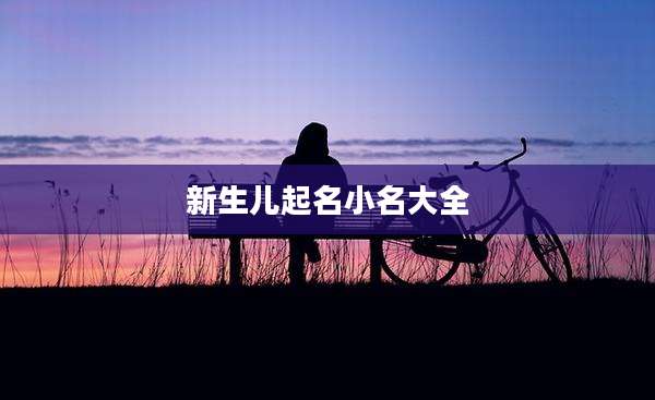 新生儿起名小名大全