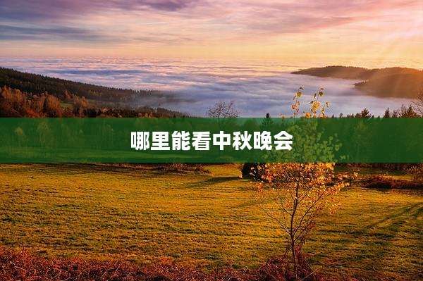 哪里能看中秋晚会