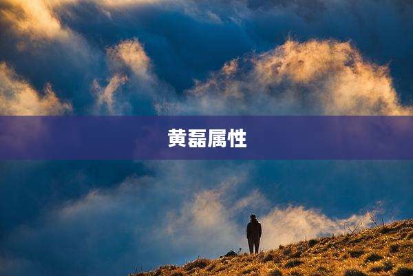 黄磊属性