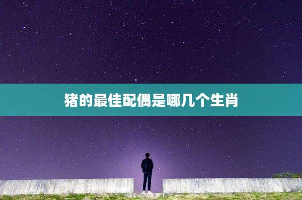 猪的最佳配偶是哪几个生肖