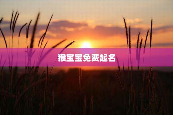 猴宝宝免费起名