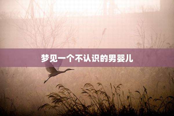 梦见一个不认识的男婴儿