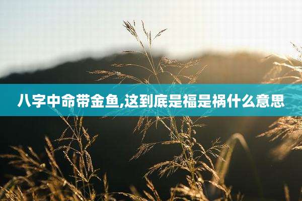 八字中命带金鱼,这到底是福是祸什么意思