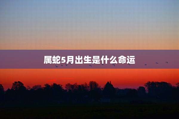 属蛇5月出生是什么命运