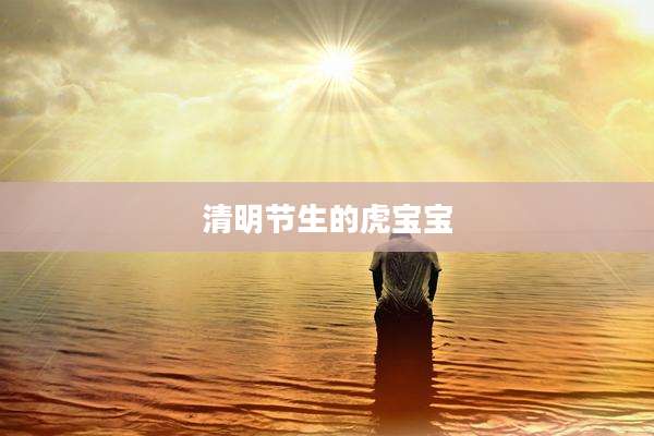 清明节生的虎宝宝