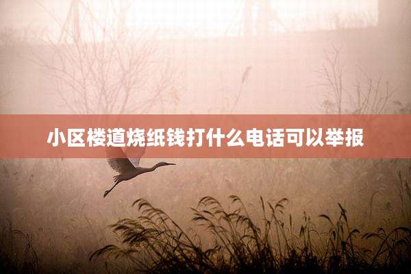 小区楼道烧纸钱打什么电话可以举报