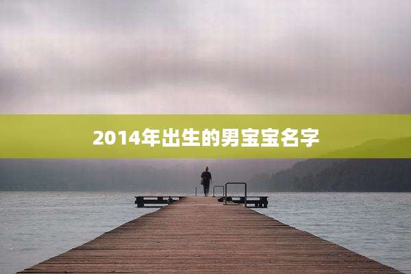 2014年出生的男宝宝名字