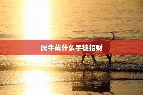 属牛戴什么手链招财