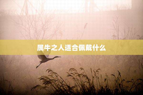 属牛之人适合佩戴什么