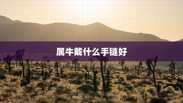 属牛戴什么手链好