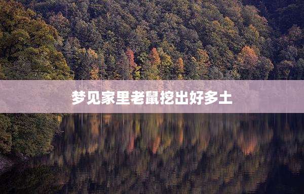 梦见家里老鼠挖出好多土