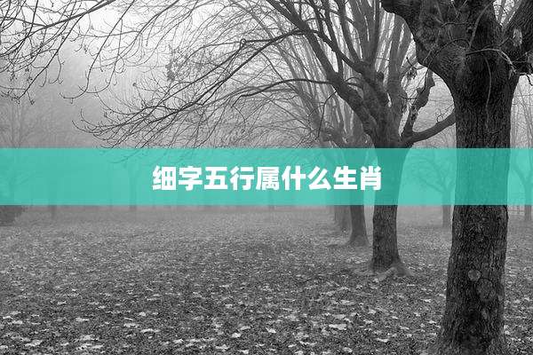 细字五行属什么生肖