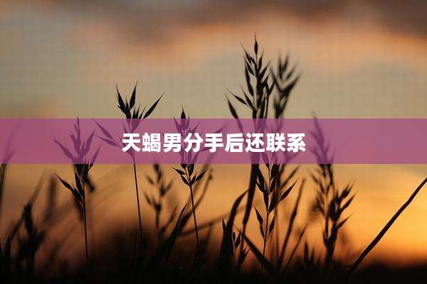 天蝎男分手后还联系