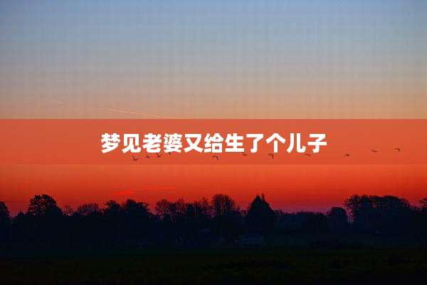 梦见老婆又给生了个儿子