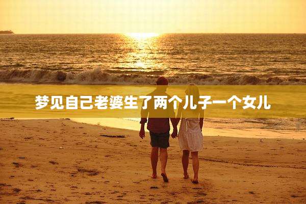 梦见自己老婆生了两个儿子一个女儿