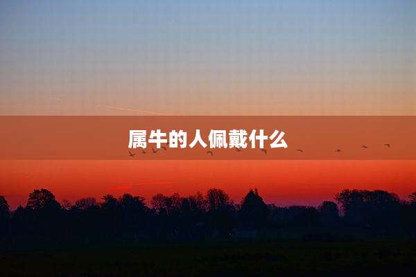属牛的人佩戴什么