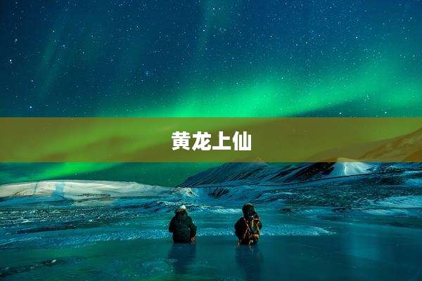 黄龙上仙