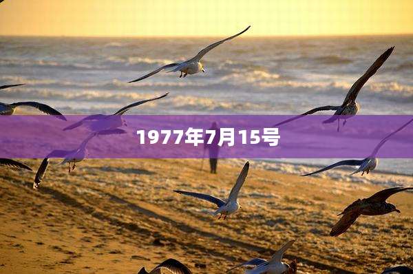 1977年7月15号