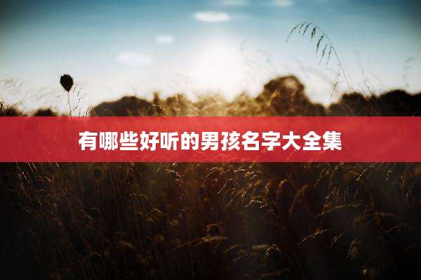有哪些好听的男孩名字大全集