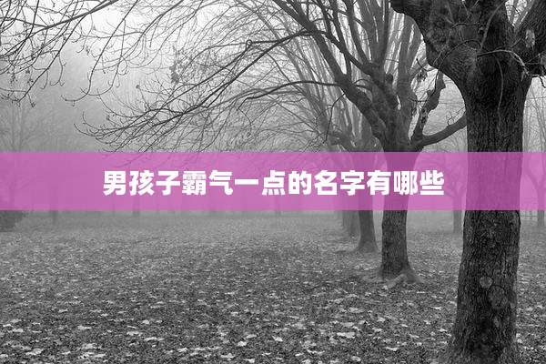 男孩子霸气一点的名字有哪些