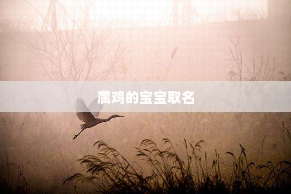 属鸡的宝宝取名