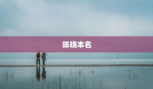 陈晓本名