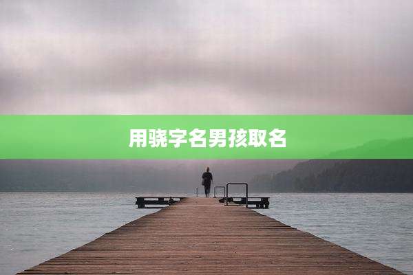 用骁字名男孩取名