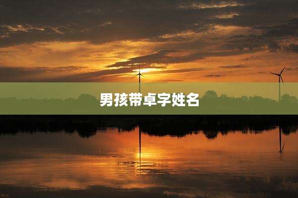 男孩带卓字姓名