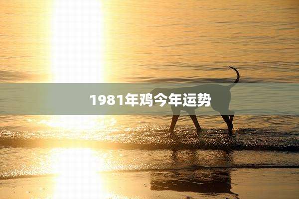 1981年鸡今年运势