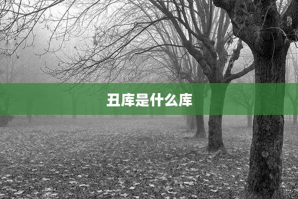 丑库是什么库