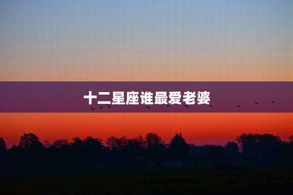 十二星座谁最爱老婆