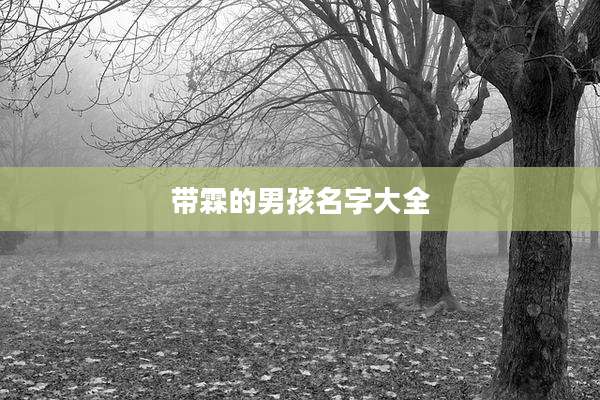 带霖的男孩名字大全