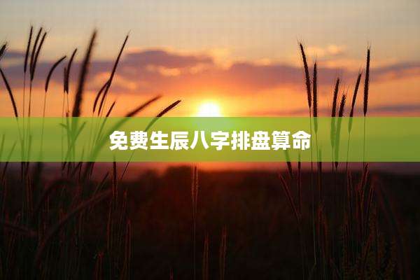 免费生辰八字排盘算命