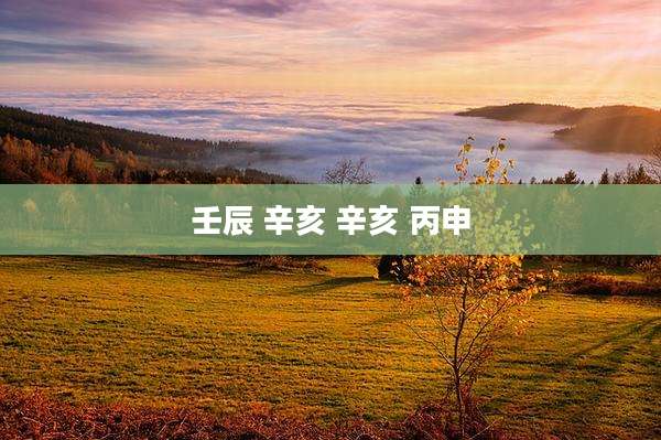 壬辰 辛亥 辛亥 丙申