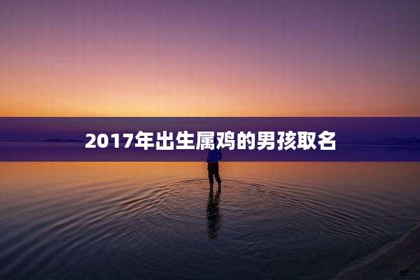 2017年出生属鸡的男孩取名