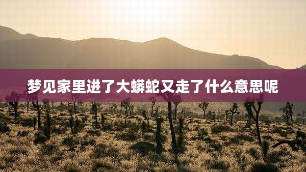 梦见家里进了大蟒蛇又走了什么意思呢
