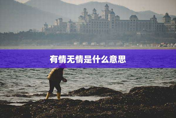有情无情是什么意思