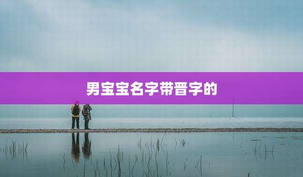 男宝宝名字带晋字的